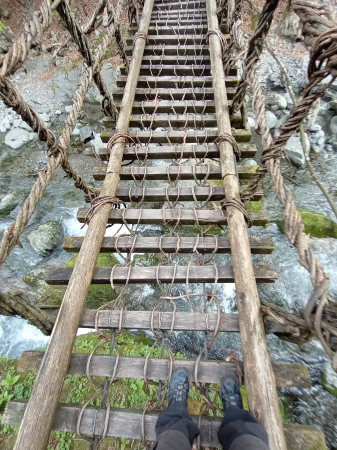 ponti di vite, Giappone