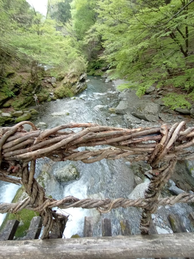 Weinbrücken, Japan