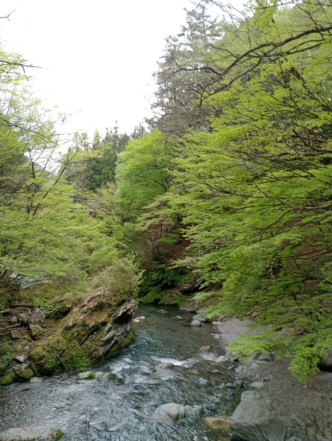 Weinbrücken, Japan