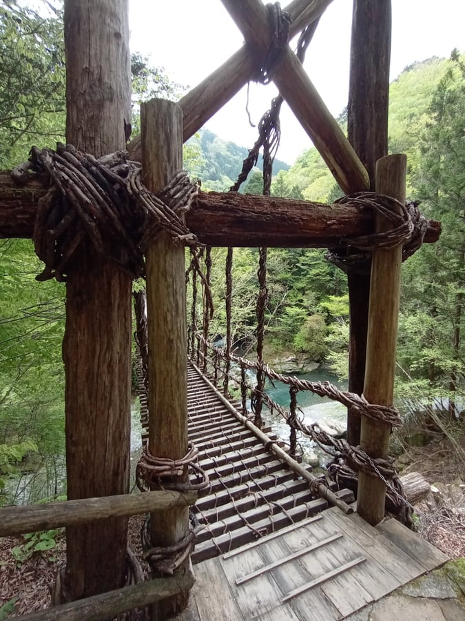 ponti di vite, Giappone