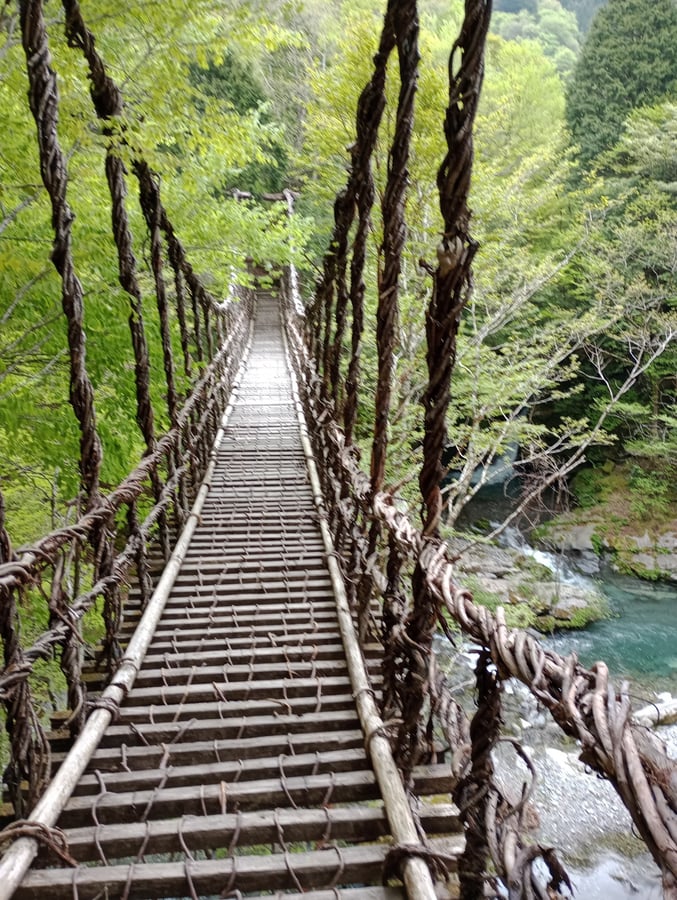 ponti di vite, Giappone
