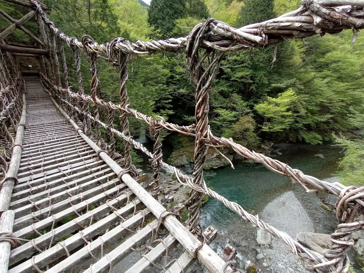 ponti di vite, Giappone