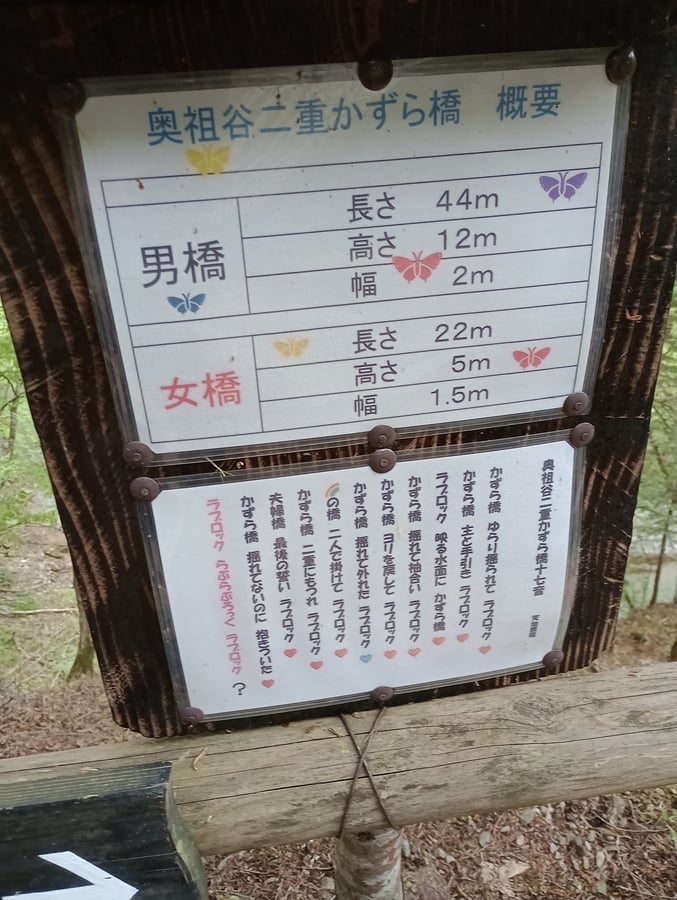 Informazioni sul ponte di vite, Giappone