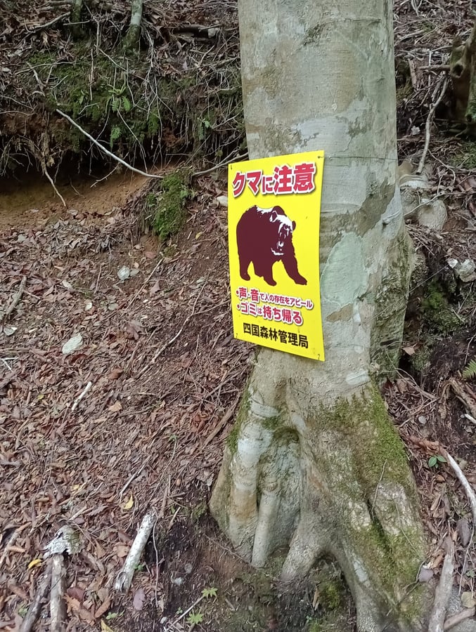 Breve passeggiata a monte, Giappone