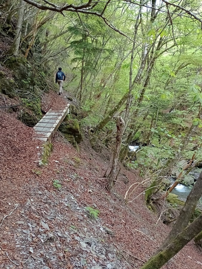 Breve passeggiata a monte, Giappone