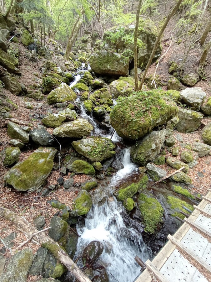 Breve passeggiata a monte, Giappone