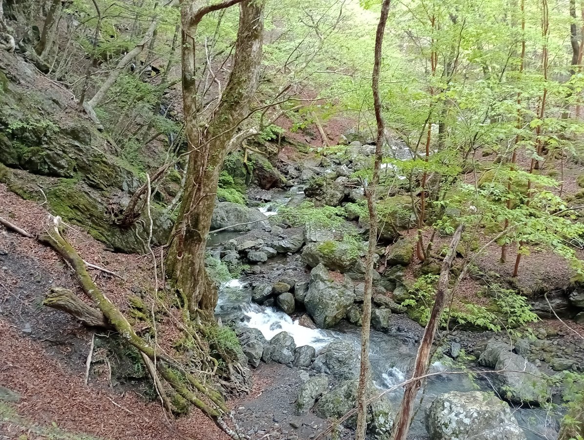 Breve passeggiata a monte, Giappone