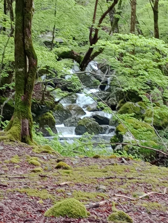 4. Mai 2026 - 08:01 Uhr, Japan
