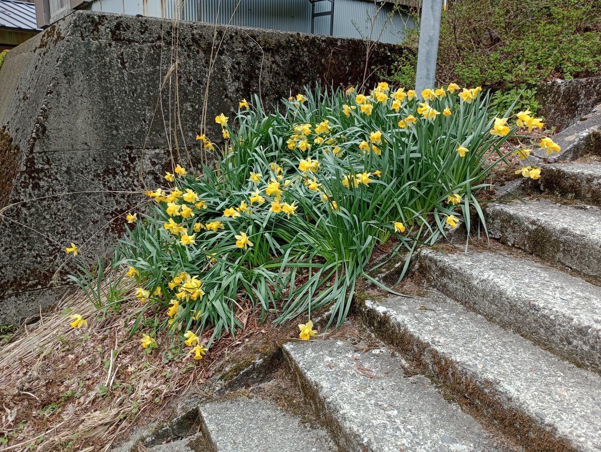 Schrein, Japan