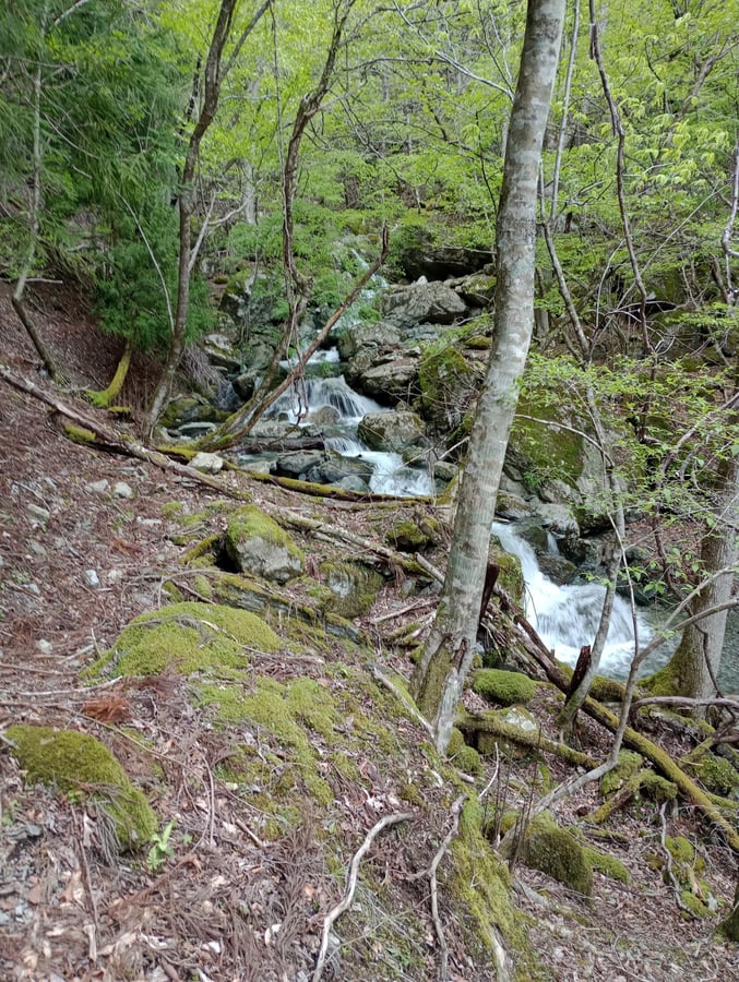 Noch mehr Wasserfälle!, Japan