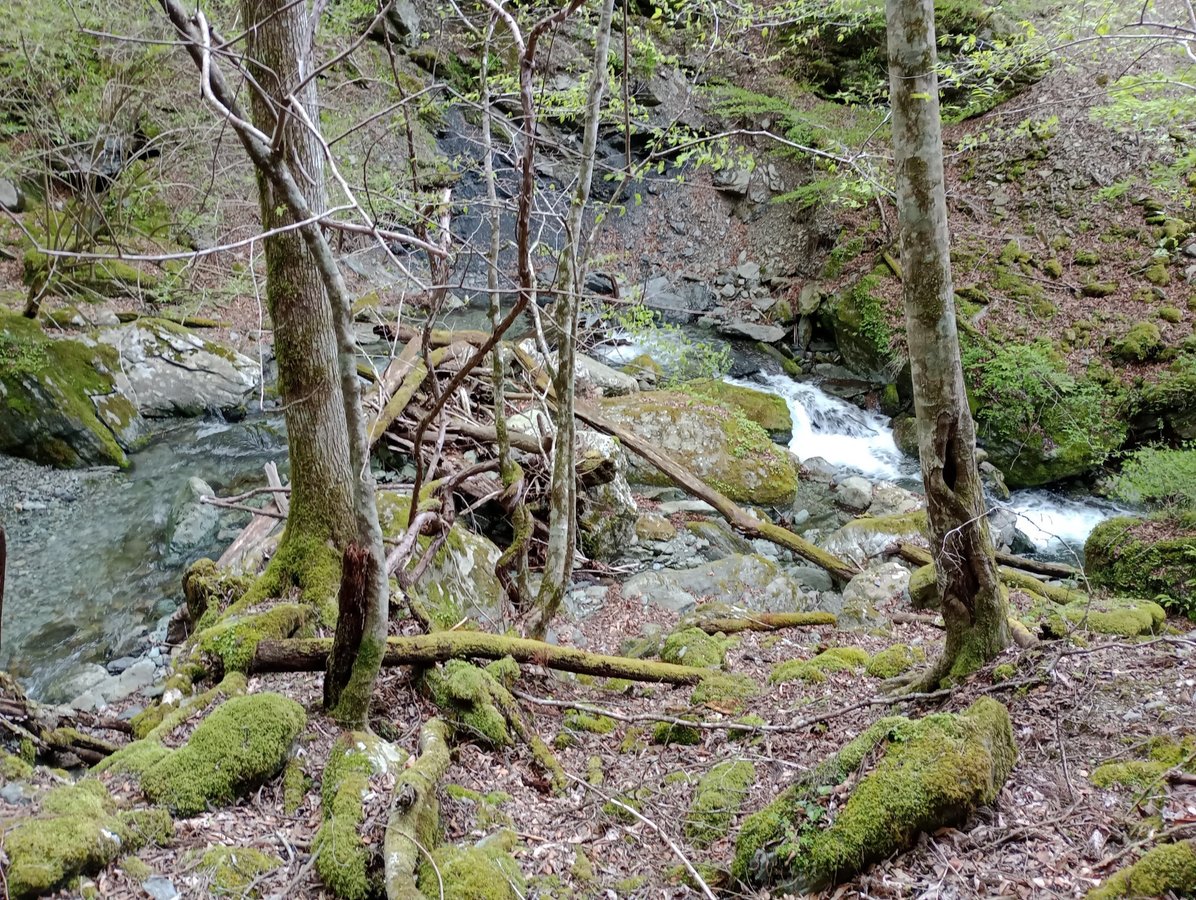 Noch mehr Wasserfälle!, Japan
