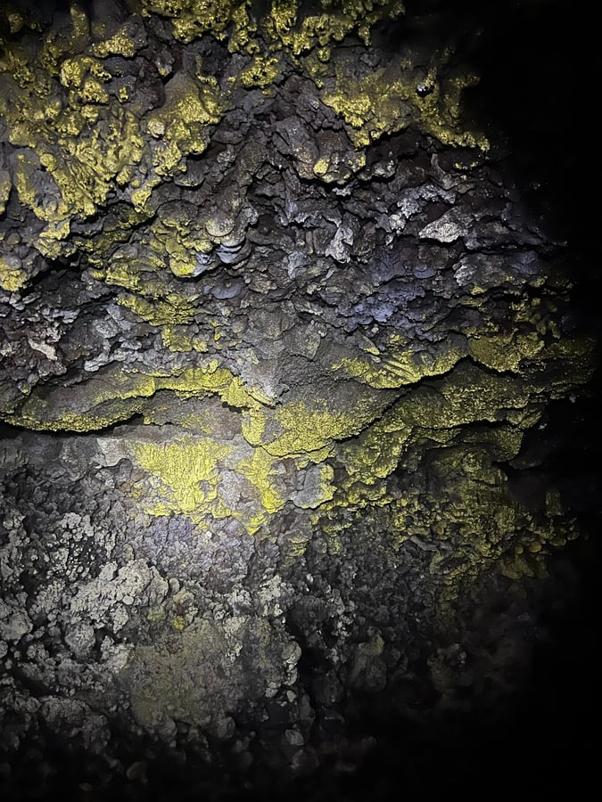 Grotte/tunnel de lave, mousse dorée scintillante, Équateur