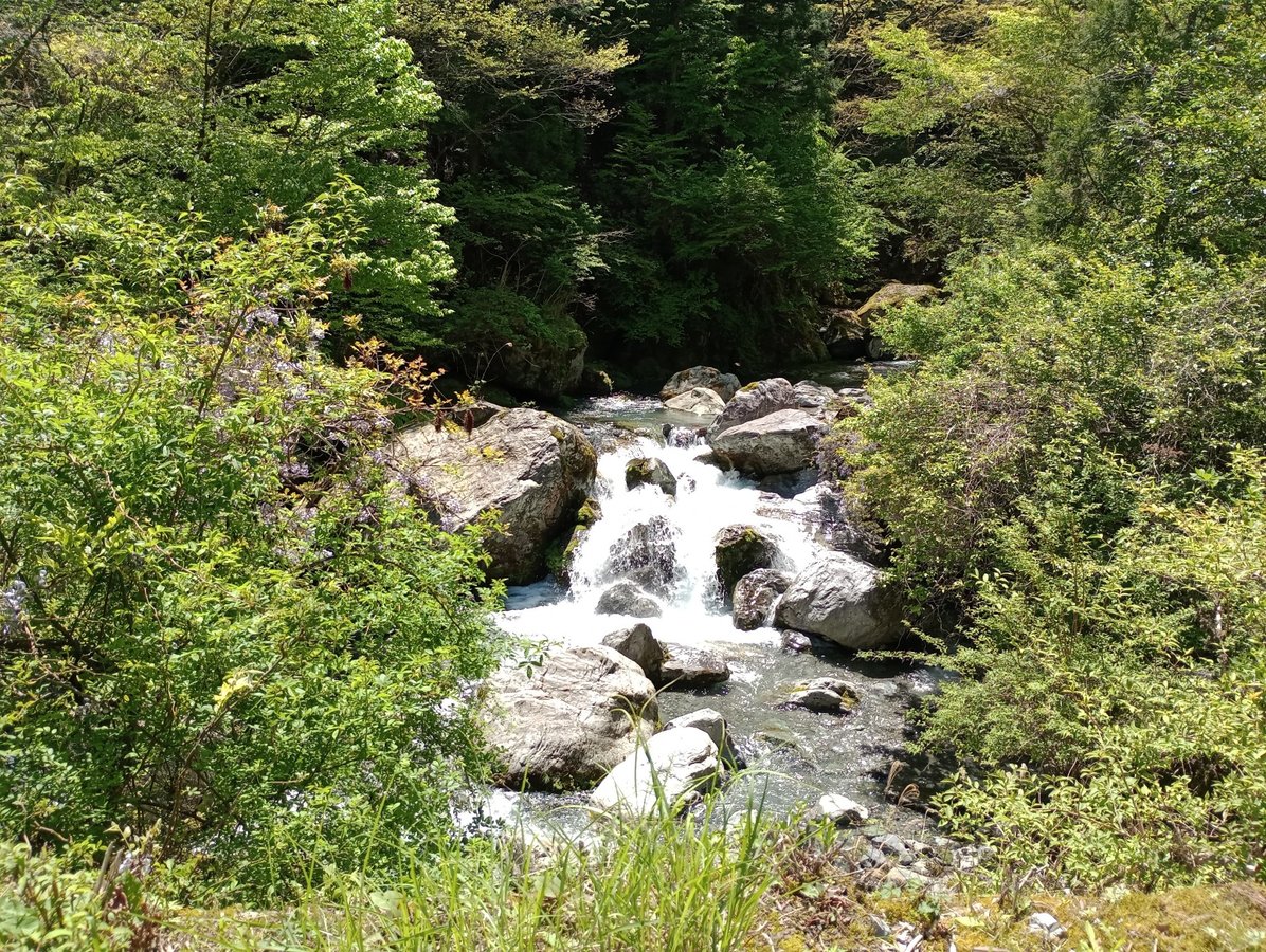 5 maggio 2026 - 13:05, Giappone