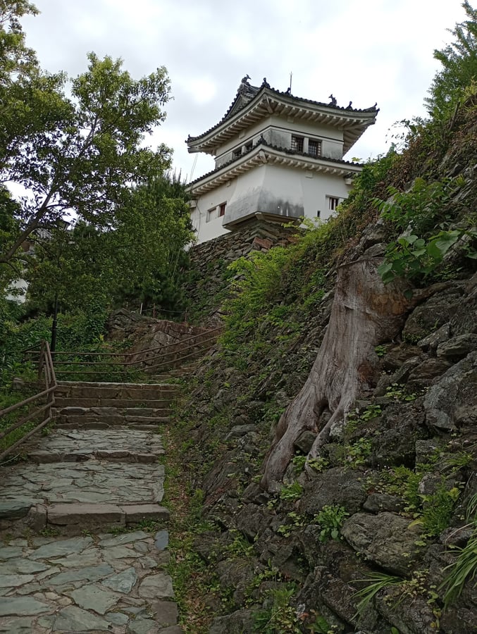 Castello di Wakayama, Giappone