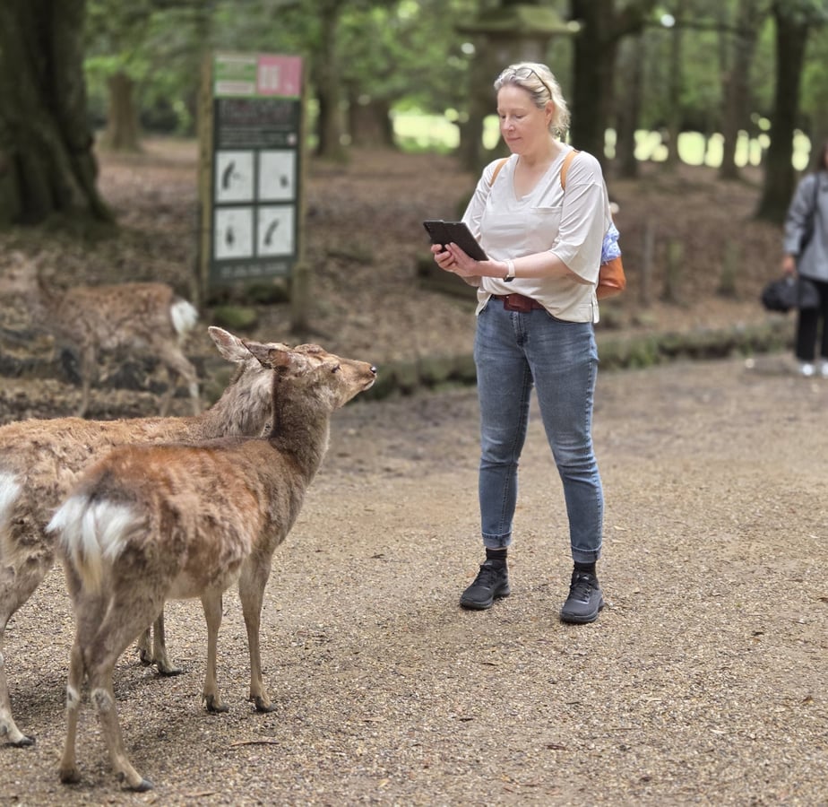 Nara Park, Japan