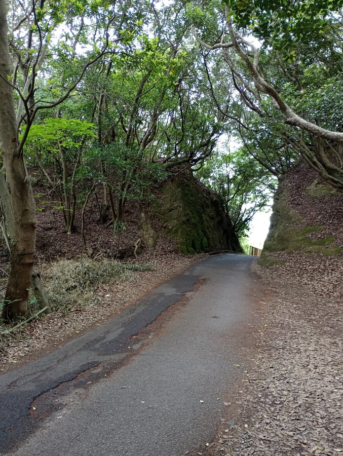 Cabo Tenjin, Japón