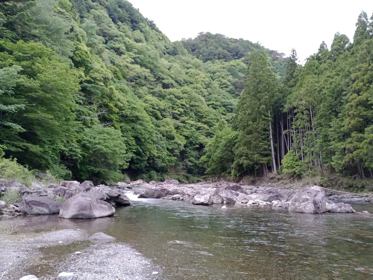 Camping Iris, Japón