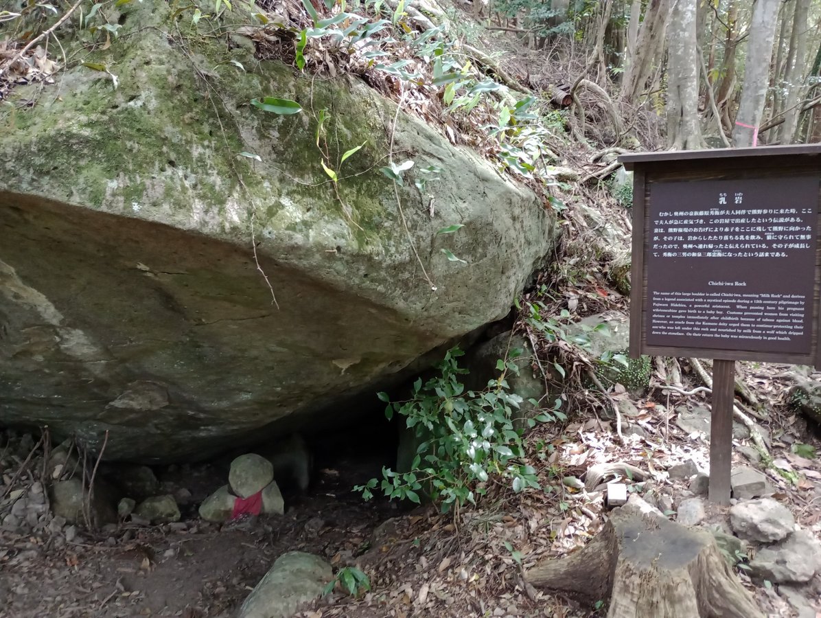 leche de lobo, Japón