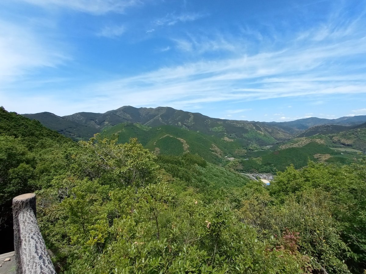 Punto de vista, Japón