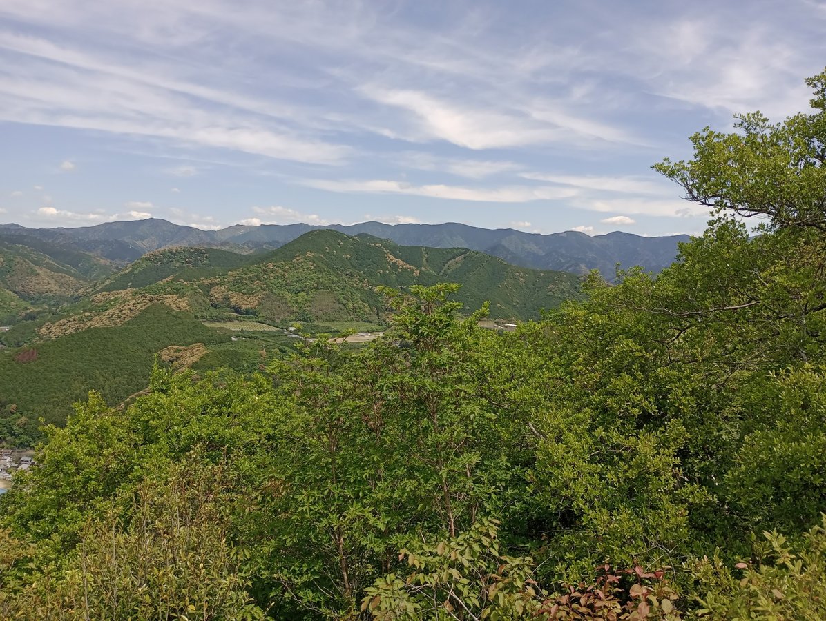 Punto de vista, Japón