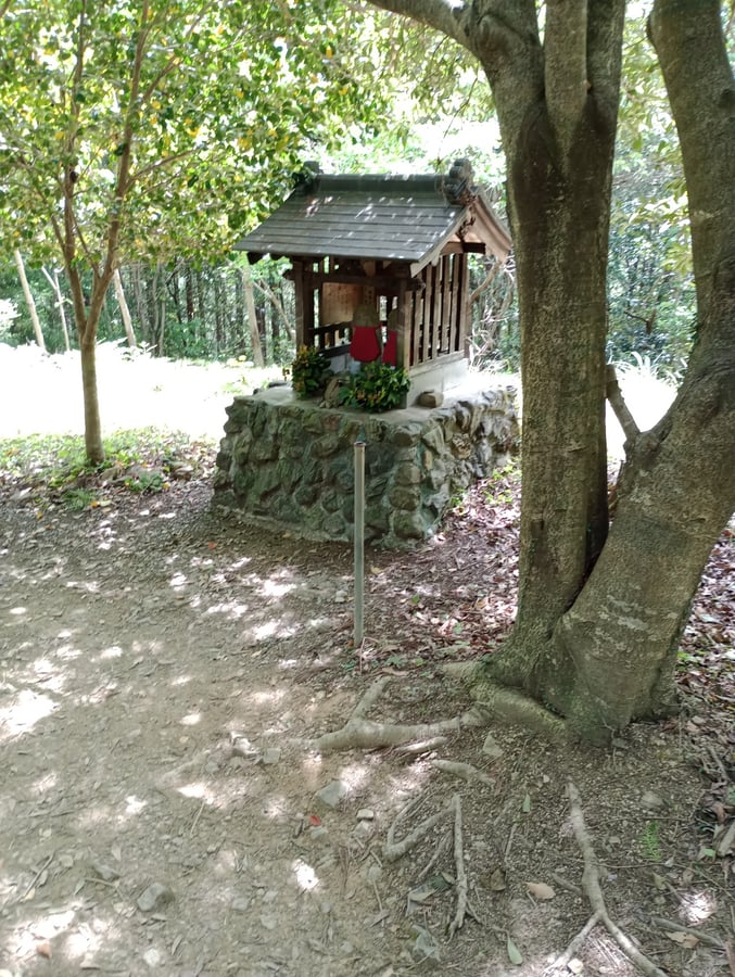 9 de mayo de 2026 - 10:43, Japón