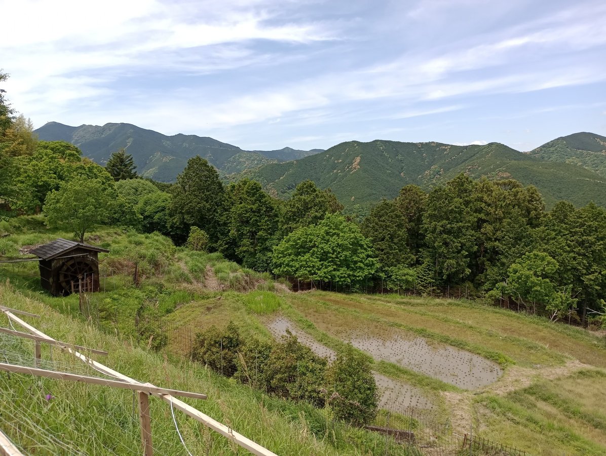 Rueda hidráulica, arrozales y vistas, Japón
