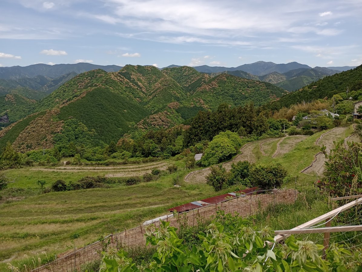 Rueda hidráulica, arrozales y vistas, Japón