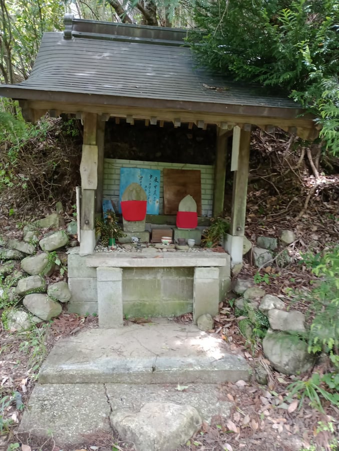 9 de mayo de 2026 - 11:31, Japón