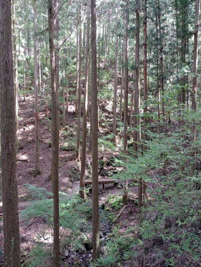 Osakamoto Oji, Japón