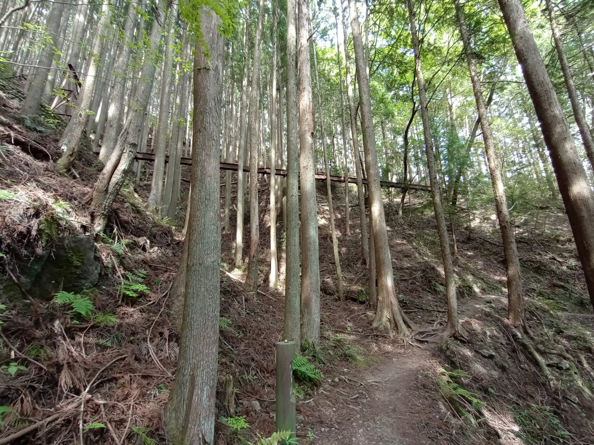 Me pregunto para qué servía ese puente., Japón