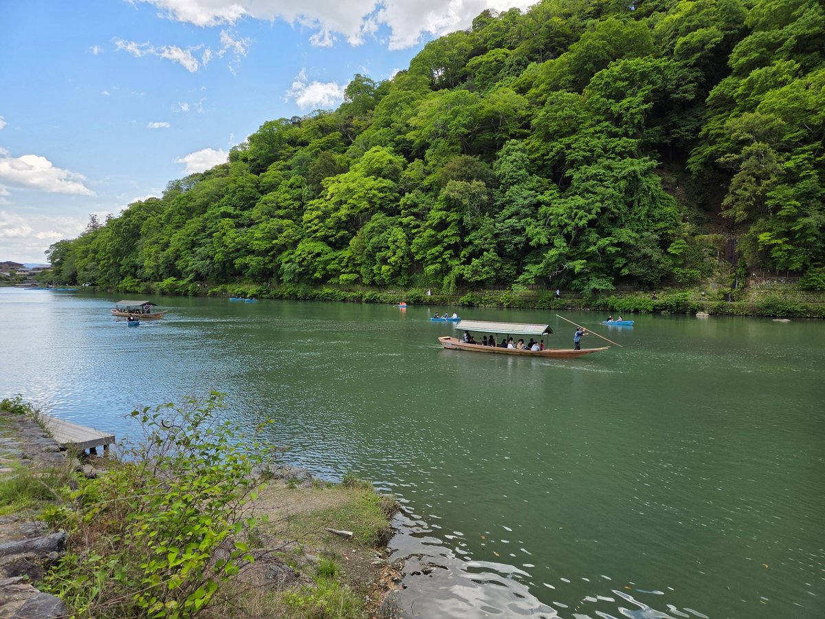 Bosque de bambú de Arishiyama, Japón