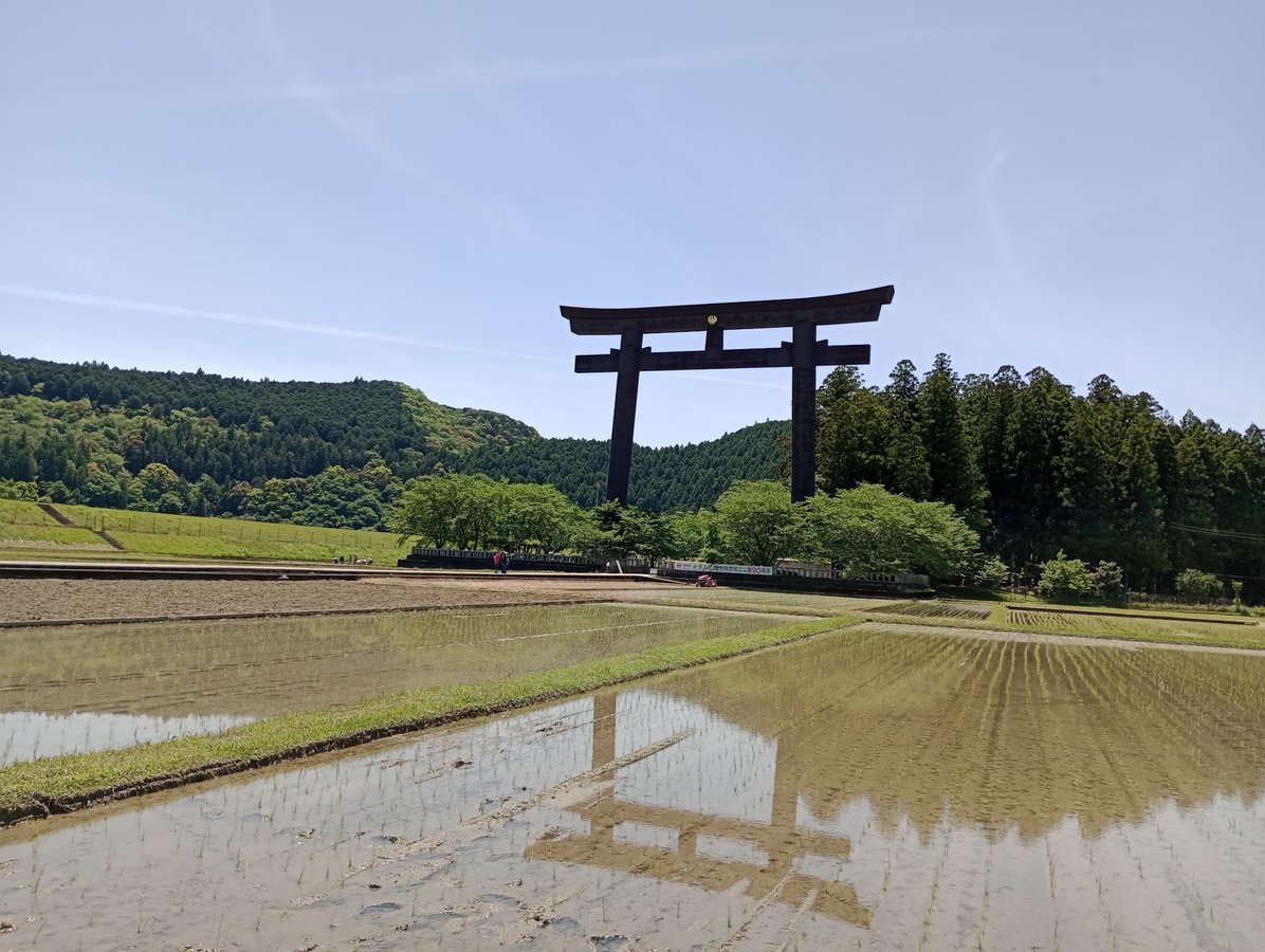 Voilà une grande porte Torii !, Japon