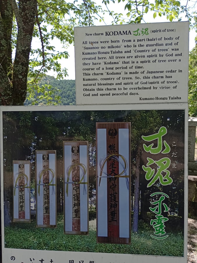 Voilà une grande porte Torii !, Japon
