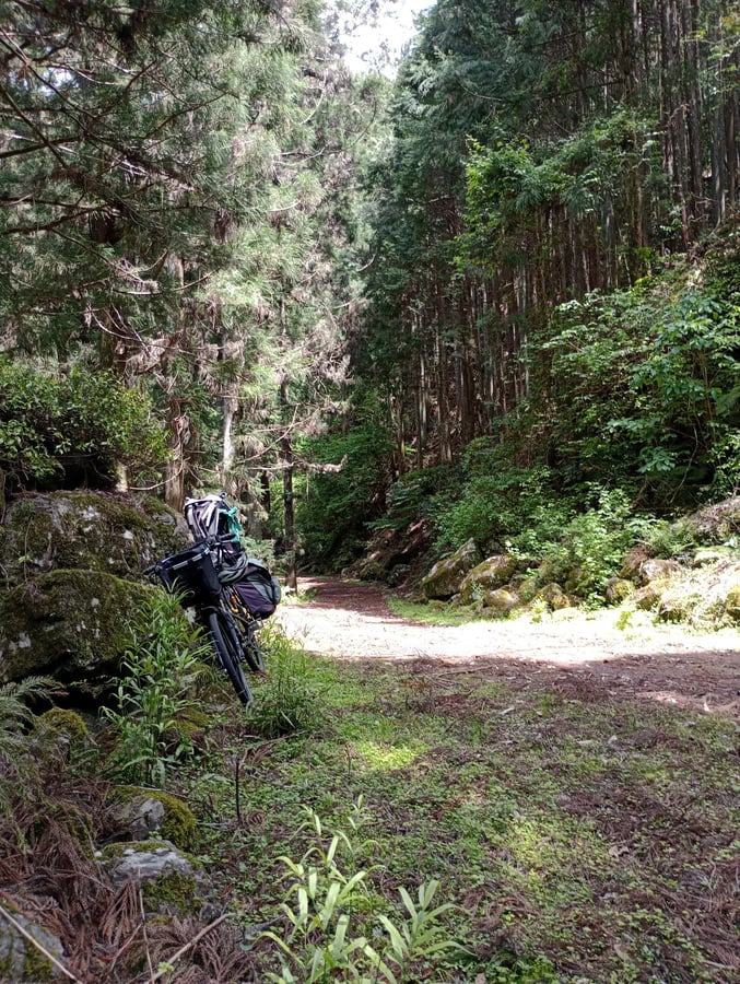 Mittagslokal, Japan