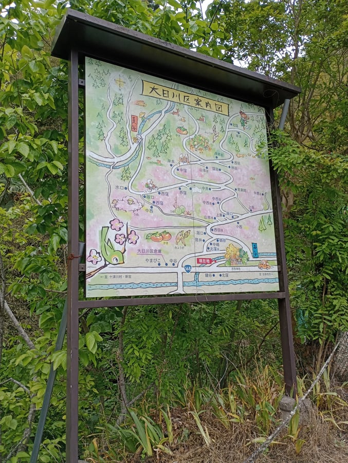 Zona di prugne e cachi, Giappone