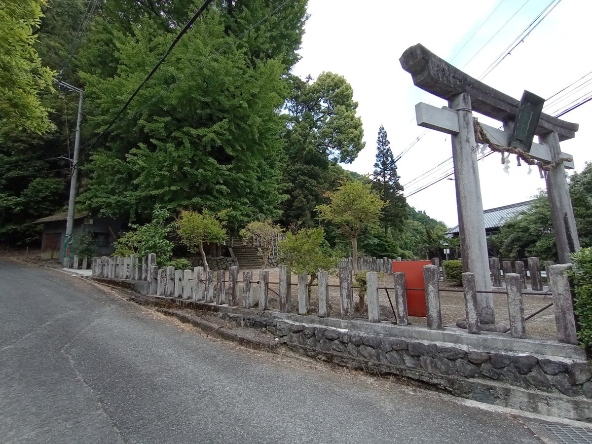 Zona di prugne e cachi, Giappone