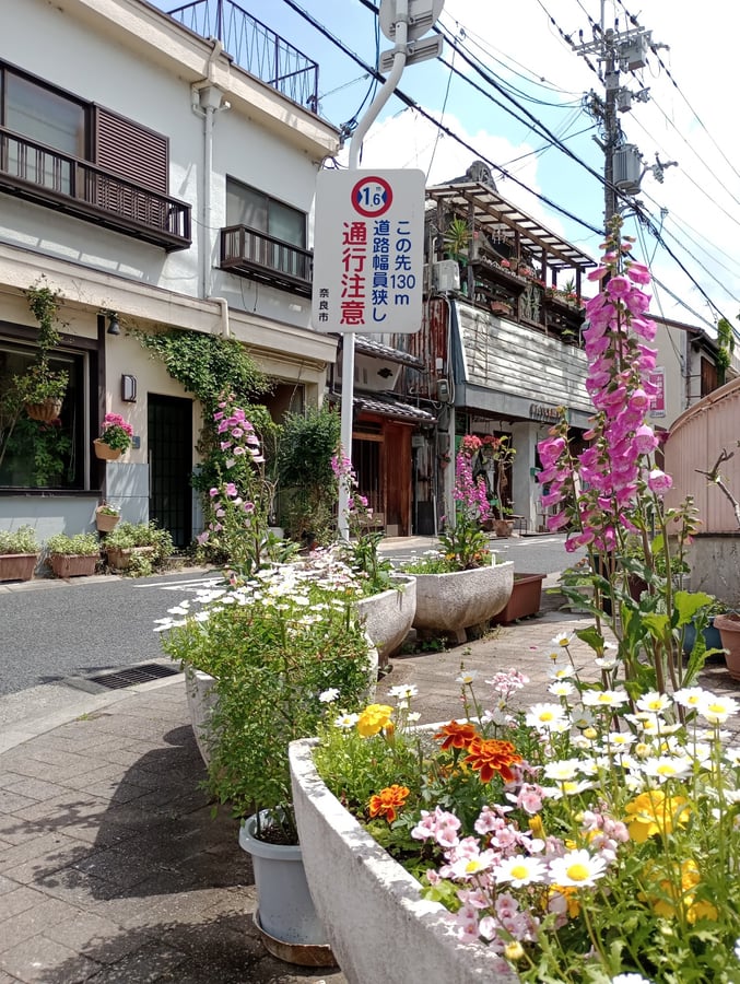 12 May 2026 - 10:22, Japan