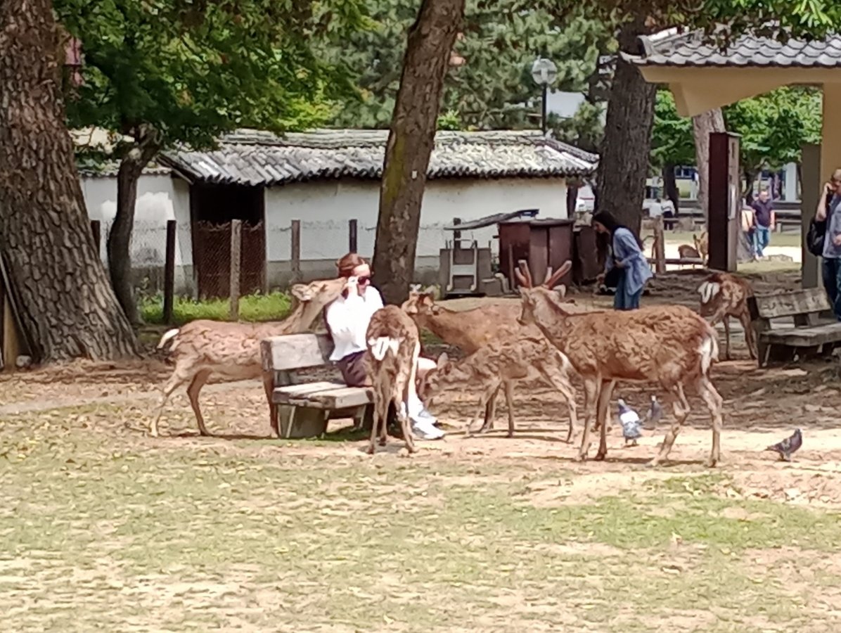Nara National Museum, Japan