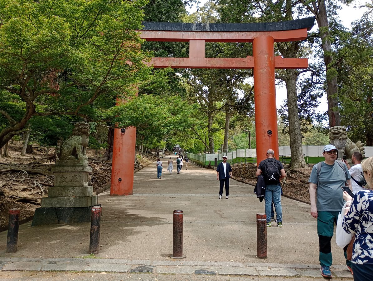 12 May 2026 - 12:17, Japan