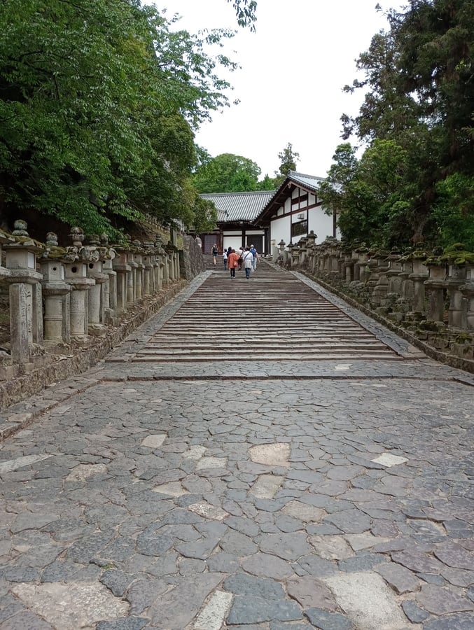 12 May 2026 - 12:17, Japan