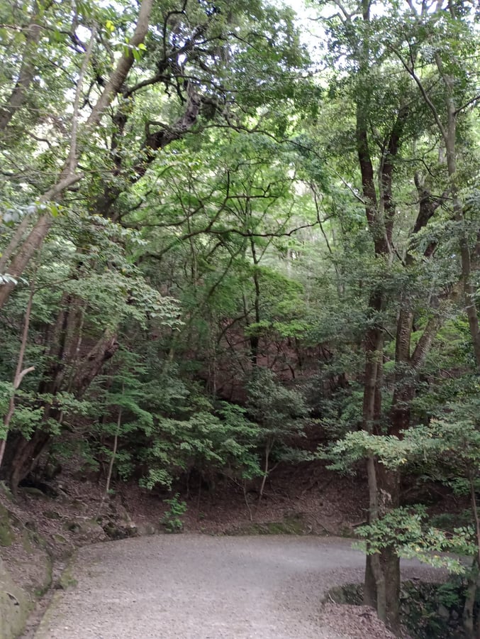 Mount Wakakusa, Japan