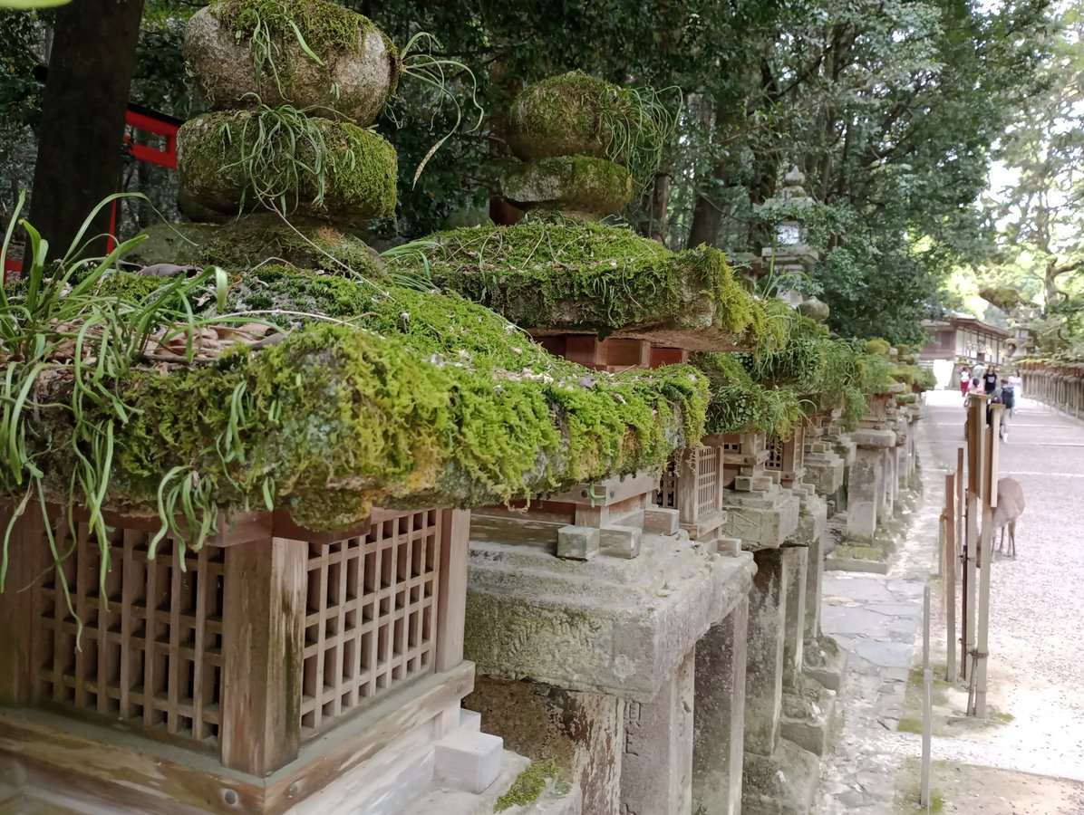 Kasuga Taisha Shrine, Japan
