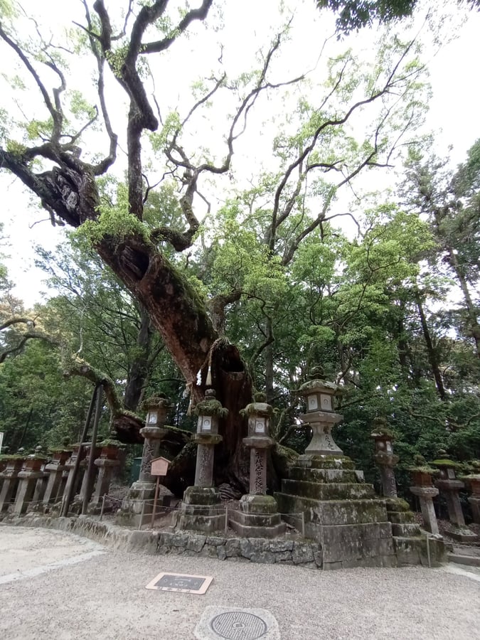 Kasuga Taisha Shrine, Japan