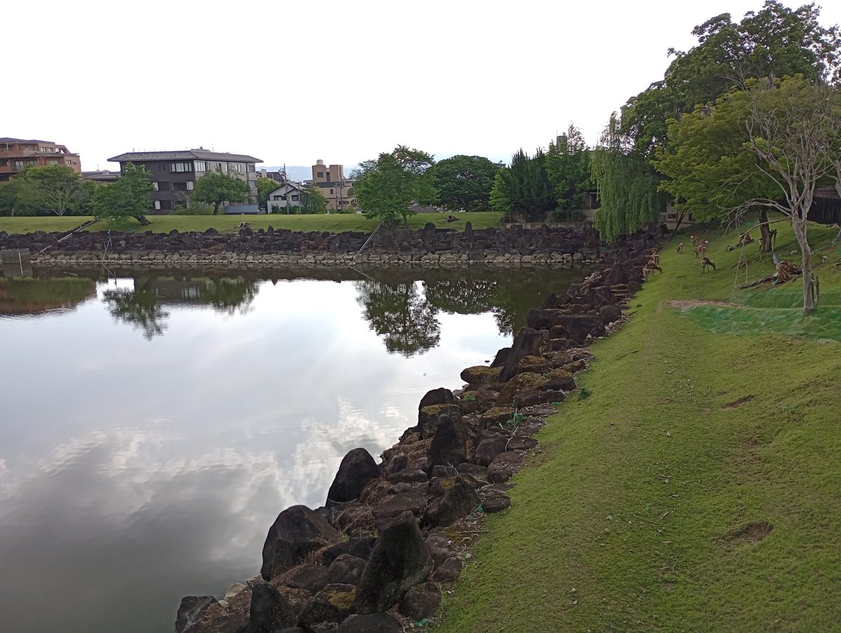 12 May 2026 - 16:08, Japan