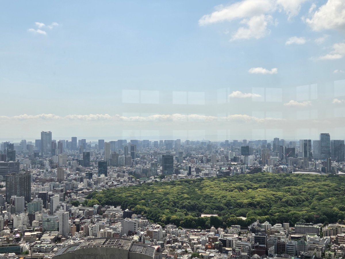Edificio Metropolitano del Gobierno, Japón