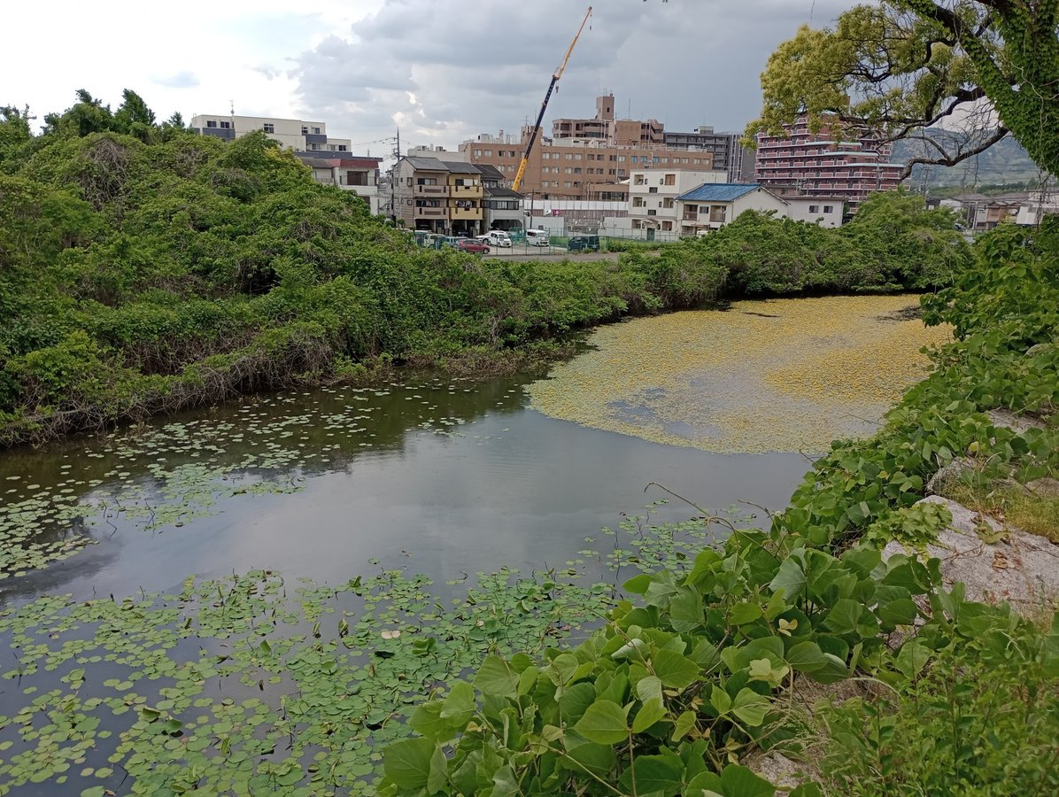 Yodo Castle Ruins Park, Japan