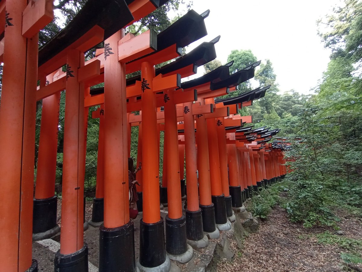 Senbon Torii, Japan