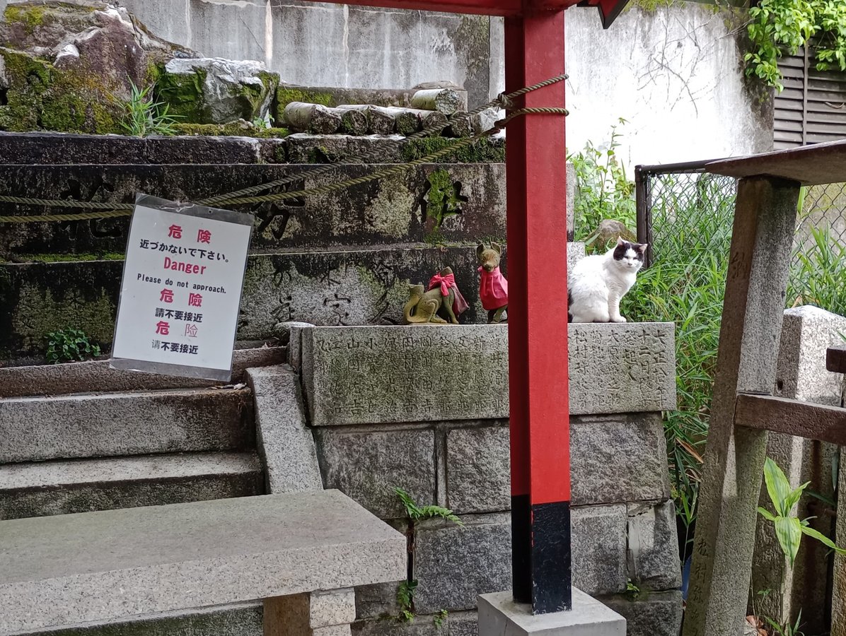 13. Mai 2026 - 15:56 Uhr, Japan