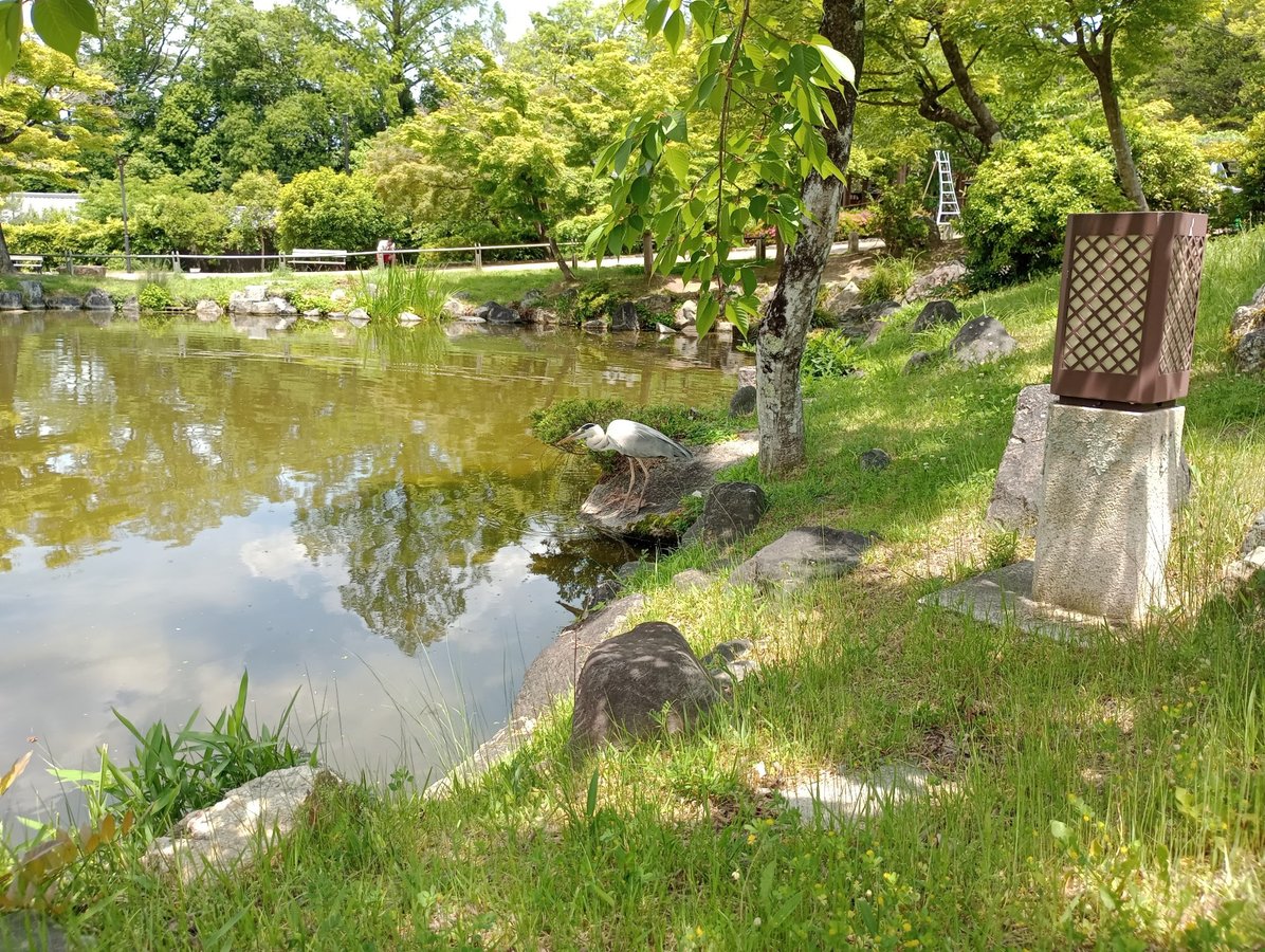 14. Mai 2026 - 11:43 Uhr, Japan