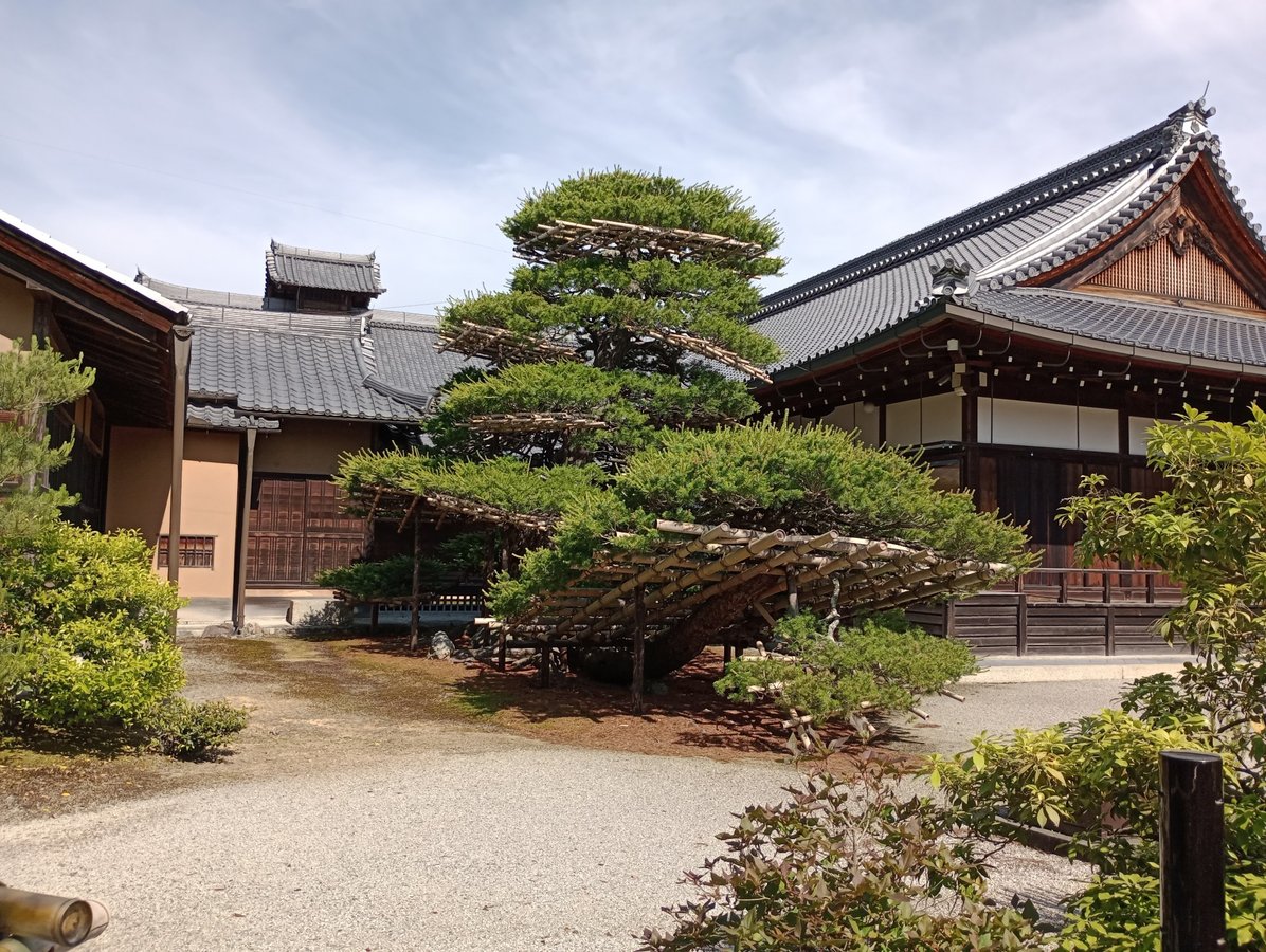 Kinkaku-ji, Japan